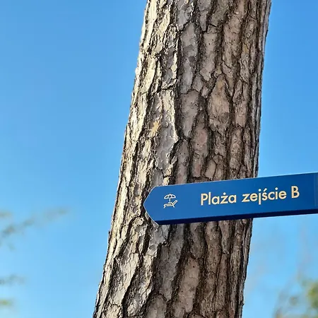 Апартаменты Typu 266 Porta Mare Epapartamenty